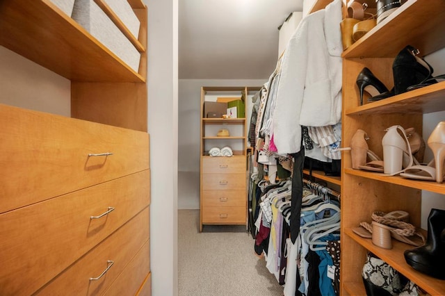 67 Richmond Blvd Unit 2A, Ronkonkoma, NY 11779 - walk in closet with carpet