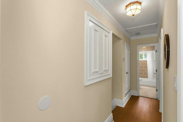 40 King Ave, Selden, NY 11784 - photo 12