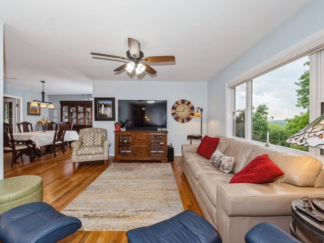 53 Lakeview Rd, Carmel, NY 10512 - photo 12