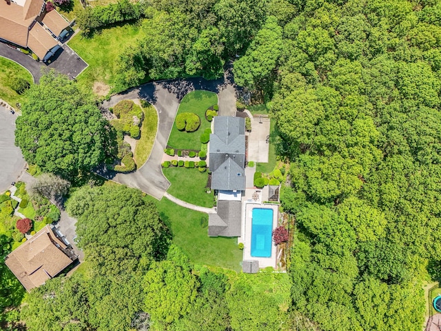 11 Country Squire Ct, Dix Hills, NY 11746 - photo 45