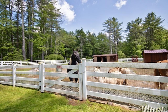 3060 State Route 17b, Cochecton, NY 12726 - view of yard with a view of trees, an outdoor structure, and an exterior structure