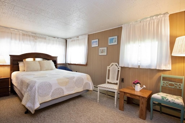 3060 State Route 17b, Cochecton, NY 12726 - bedroom with carpet and wooden walls