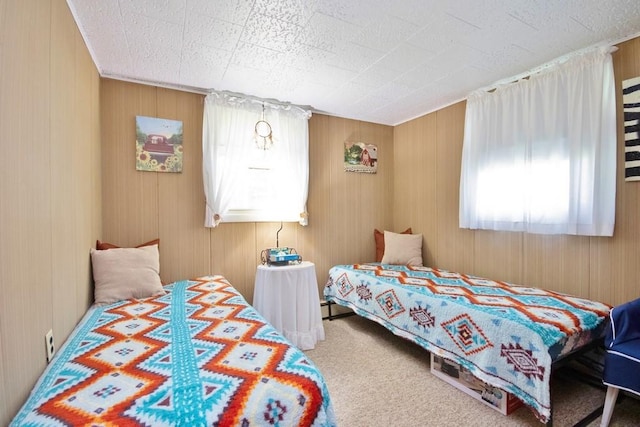 3060 State Route 17b, Cochecton, NY 12726 - bedroom featuring carpet and wood walls
