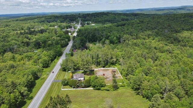 3060 State Route 17b, Cochecton, NY 12726 - aerial view of property and surrounding area featuring a forest