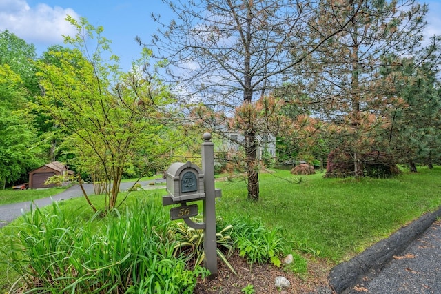 56 Hillside Ter, Mahopac, NY 10541 - photo 31