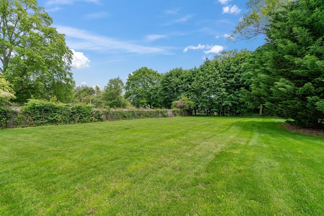 30 Salem Ridge Dr, Huntington, NY 11743 - view of yard