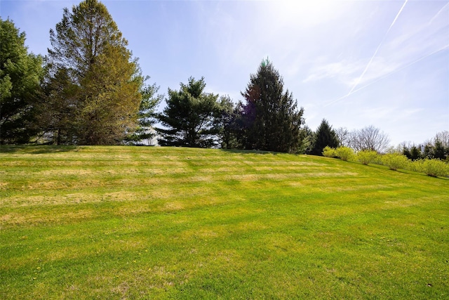 19 Bush Creek Ln, Poughquag, NY 12570 - view of green lawn with a rural view