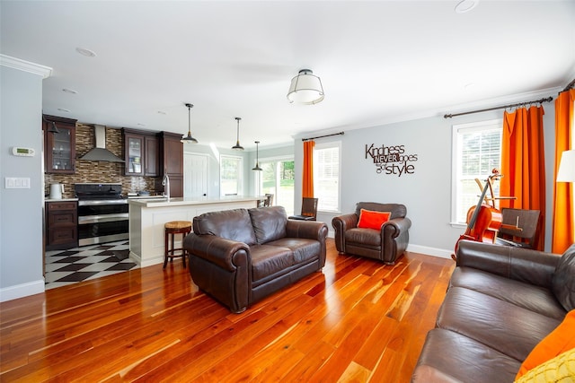19 Bush Creek Ln, Poughquag, NY 12570 - living room featuring wood finished floors, healthy amount of natural light, baseboards, and crown molding