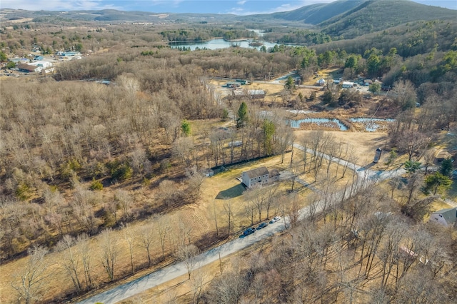 143 Ryan Rd, Pine Plains, NY 12567 - photo 25