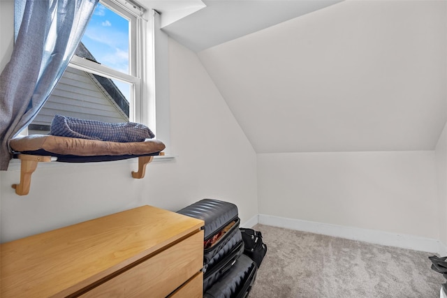 68 Silver Spring Rd, New Windsor, NY 12553 - spacious closet with lofted ceiling and carpet flooring