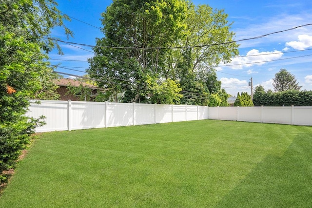 18 Birchwood Park Dr, Syosset, NY 11791 - view of yard