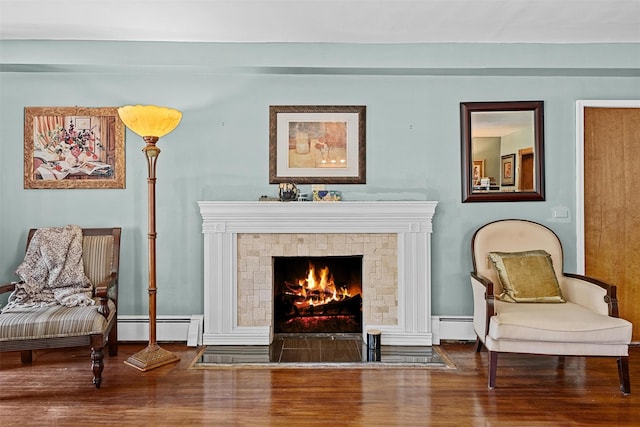 484 Rte 211 W, Middletown, NY 10940 - living area with a baseboard radiator, wood finished floors, and a fireplace with flush hearth