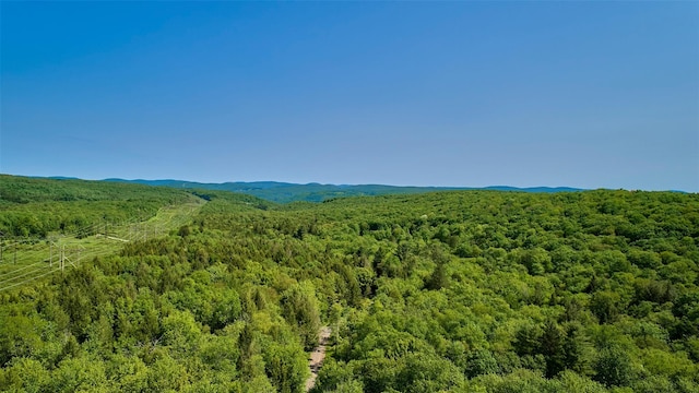 172 Wards, Livingston Manor, NY 12758 - photo 26