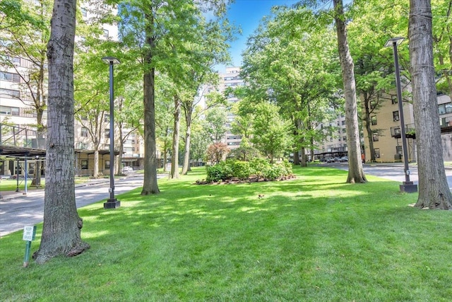 3 Fordham Hill Oval Unit 10B, Bronx, NY 10468 - view of community featuring a lawn