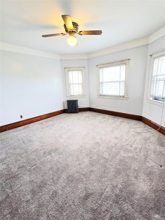 8741 95th St, Woodhaven, NY 11421 - photo 13