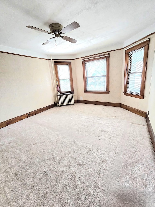 8741 95th St, Woodhaven, NY 11421 - photo 14