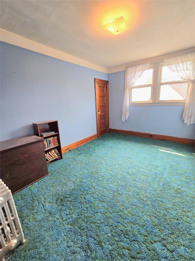 8741 95th St, Woodhaven, NY 11421 - photo 18