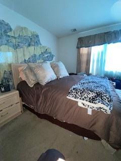28 Torrey Pine Ln, Bay Shore, NY 11706 - view of bedroom