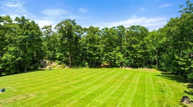 23 Hillcrest Dr, Mahopac, NY 10541 - photo 12