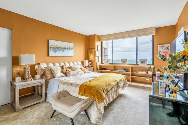 269-10 Grand Central Pkwy Unit 32P, Floral Park, NY 11005 - photo 18