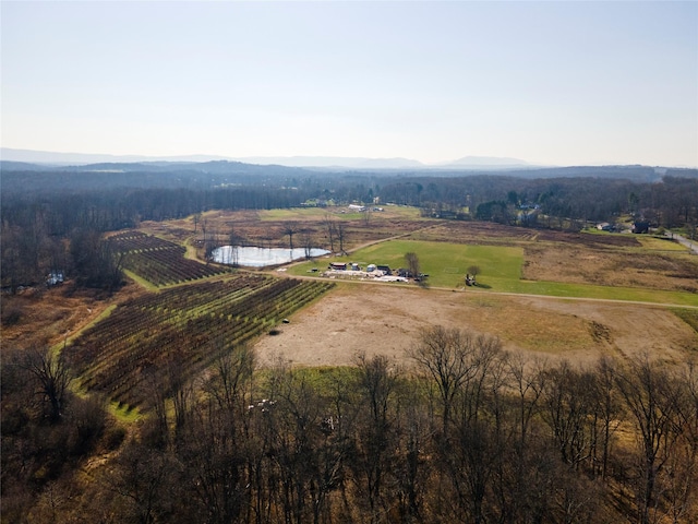 27 Robinson Ln, Wappingers Falls, NY 12590