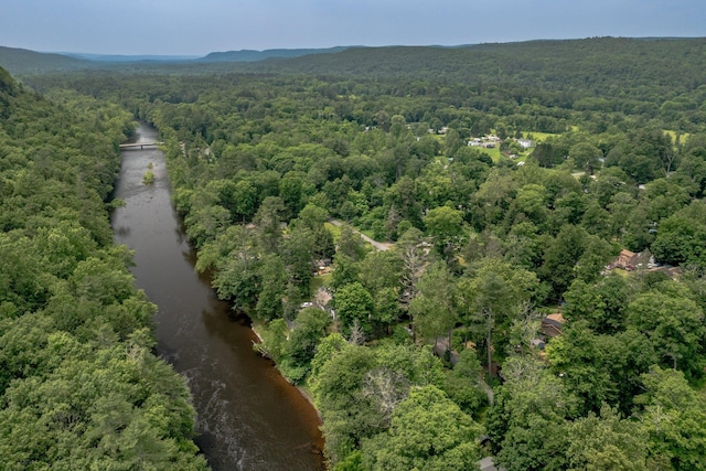3 Avenue E, Godeffroy, NY 12729 - aerial view of property and surrounding area with a heavily wooded area and a large body of water
