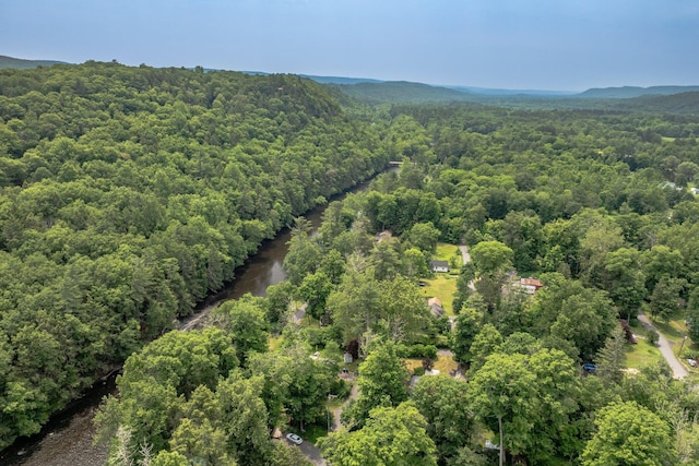 3 Avenue E, Godeffroy, NY 12729 - view of property location featuring a heavily wooded area