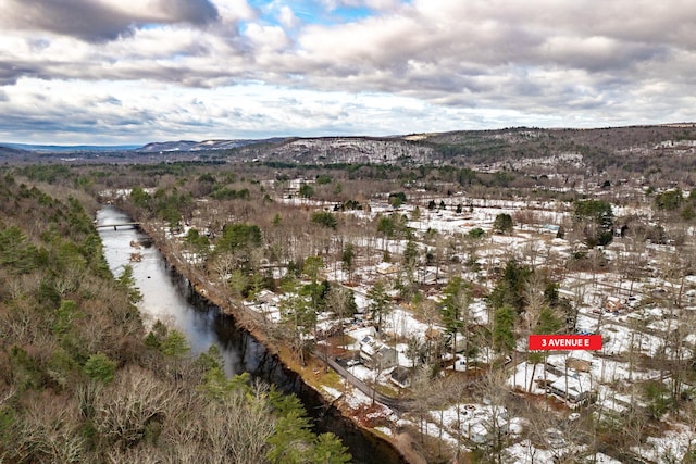 3 Avenue E, Godeffroy, NY 12729 - aerial view of property's location with a mountain backdrop