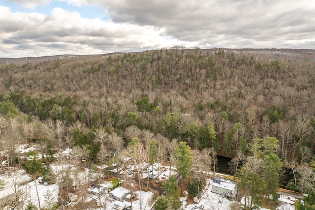 3 Avenue E, Godeffroy, NY 12729 - view of mountain background featuring a heavily wooded area