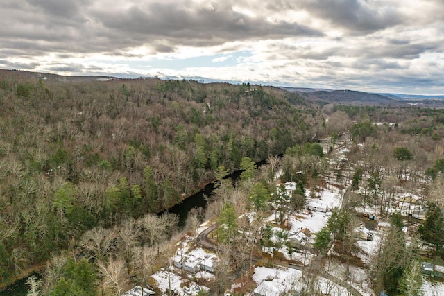 3 Avenue E, Godeffroy, NY 12729 - view of mountain background with a forest