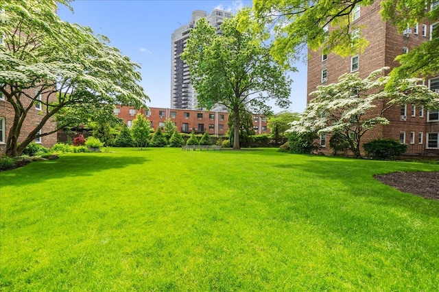 112-20 72nd Dr Unit A33, Forest Hills, NY 11375 - view of grassy yard