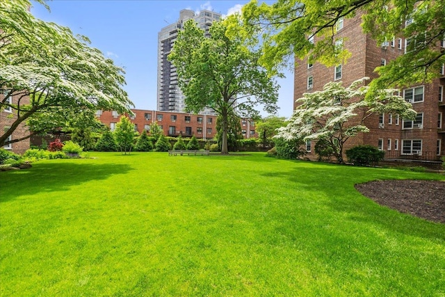 112-20 72nd Dr Unit A33, Forest Hills, NY 11375 - view of green lawn