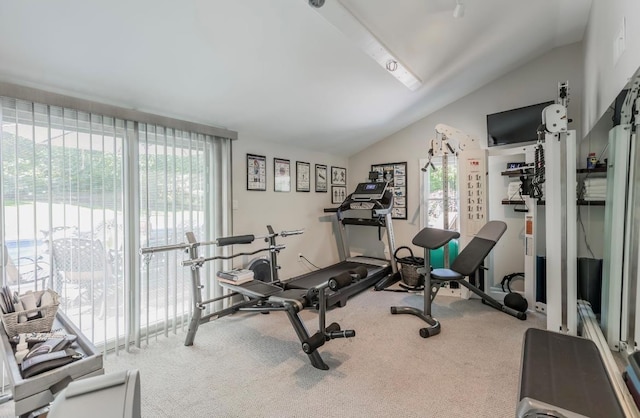 10 Woods Edge Ct, Hauppauge, NY 11788 - workout area featuring vaulted ceiling and carpet flooring