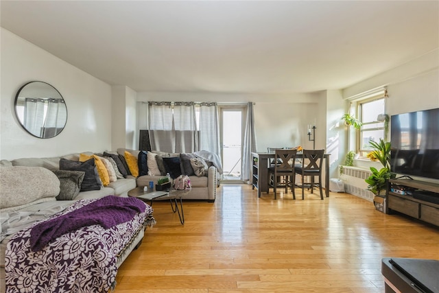 12399 Flatlands Ave Unit 7C, Brooklyn, NY 11207 - living area with radiator heating unit and light wood finished floors