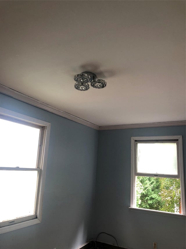 19 Wawayanda Ave, Middletown, NY 10940 - detailed view of crown molding