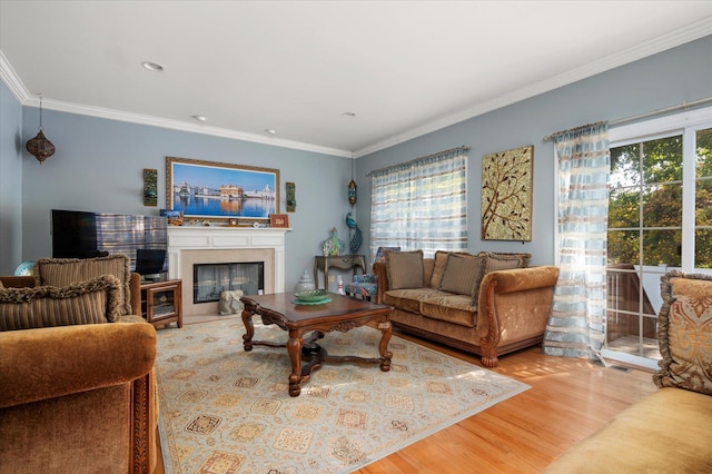 2 Undset Ct, Dix Hills, NY 11746 - living area featuring wood finished floors, a glass covered fireplace, and crown molding