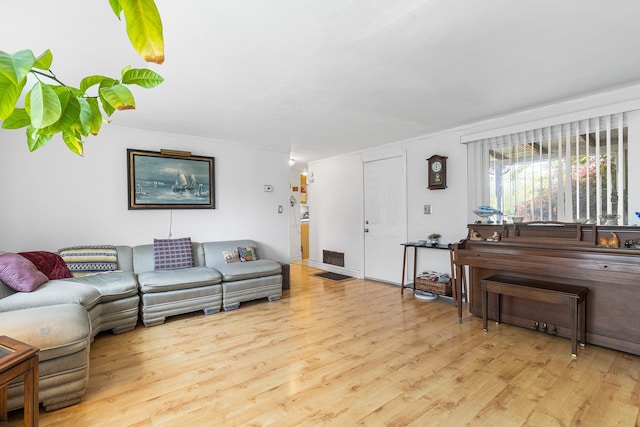 45 W 23rd St, Deer Park, NY 11729 - living room with light wood-style floors