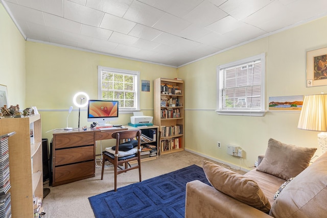 45 W 23rd St, Deer Park, NY 11729 - office area with crown molding and carpet flooring