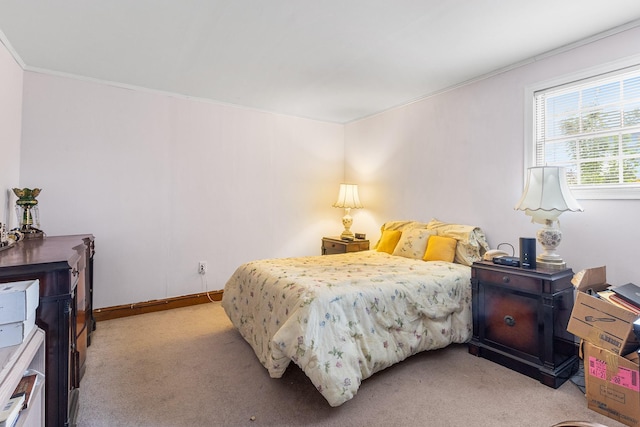 45 W 23rd St, Deer Park, NY 11729 - bedroom with light colored carpet, crown molding, and baseboards