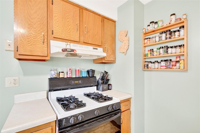 131 Front St, Port Jervis, NY 12771 - photo 17