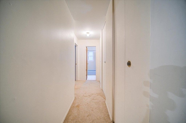 2 Colonial Rd Unit 158, Beacon, NY 12508 - hall featuring light carpet and baseboards