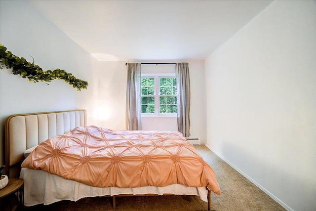 2 Colonial Rd Unit 158, Beacon, NY 12508 - bedroom featuring carpet floors and a baseboard radiator