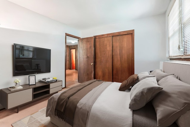304 Cloverdale Ct, New Windsor, NY 12553 - bedroom with a closet and light colored carpet