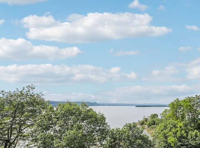 16 Rockledge Unit 3L-1, Ossining, NY 10562 - water view