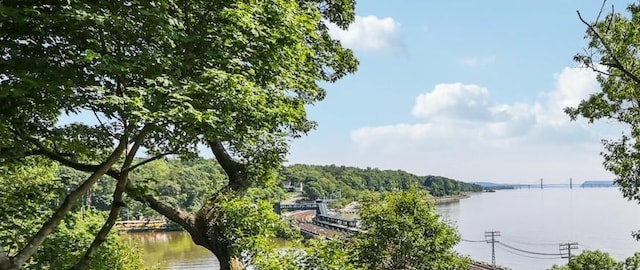 16 Rockledge Unit 3L-1, Ossining, NY 10562 - water view