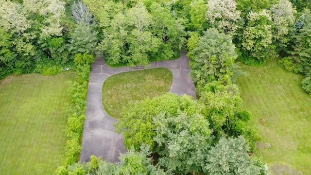 3 Sugar Maple Ct, Dix Hills, NY 11746 - aerial view