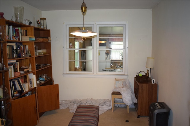 25 Alda Dr, Poughkeepsie, NY 12603 - sitting room with carpet floors