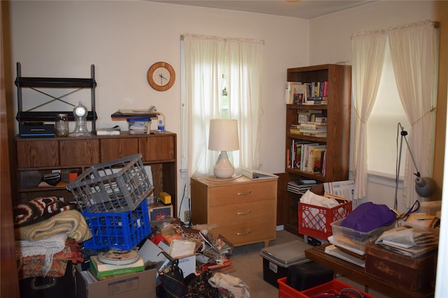 25 Alda Dr, Poughkeepsie, NY 12603 - view of carpeted office