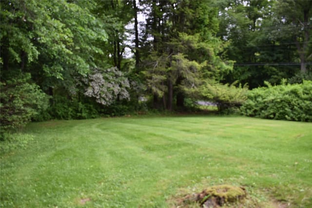 25 Alda Dr, Poughkeepsie, NY 12603 - view of grassy yard