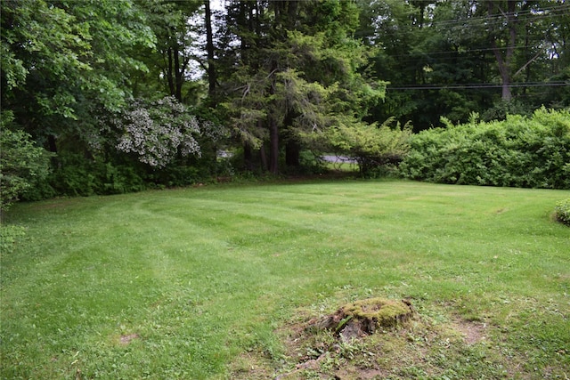 25 Alda Dr, Poughkeepsie, NY 12603 - view of grassy yard